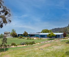 Rural / Farming commercial property for sale at 38 Carpenter's Lane Strathbogie VIC 3666