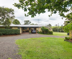 Rural / Farming commercial property for sale at 79 Red Gully Road Burrell Creek NSW 2429