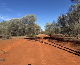 Rural / Farming commercial property for sale at Lot 2935 Mitchell Highway Byrock NSW 2831