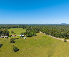 Rural / Farming commercial property for sale at 523 MORTONS CREEK ROAD Mortons Creek NSW 2446