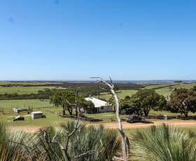 Rural / Farming commercial property for sale at 3487 North Coast Road Cassini SA 5223