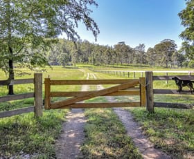 Rural / Farming commercial property for sale at 61 Narone Creek Rd Wollombi NSW 2325