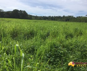 Rural / Farming commercial property for sale at South Innisfail QLD 4860