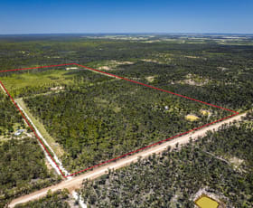 Rural / Farming commercial property for sale at 312 Robbos Road Wieambilla QLD 4413