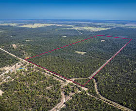 Rural / Farming commercial property for sale at Lot 9 Phipps Road Crossroads QLD 4413
