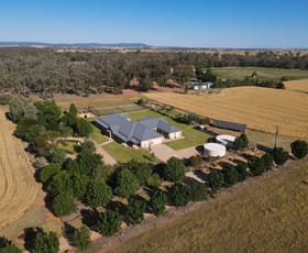 Rural / Farming commercial property for sale at 30 Watts Lane Tichborne NSW 2870