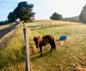 Rural / Farming commercial property for sale at 470 Allison Rd North Motton TAS 7315