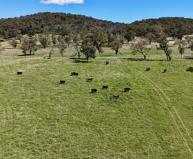 Rural / Farming commercial property for sale at 3256 Niangala Rd Walcha NSW 2354