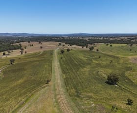 Rural / Farming commercial property for sale at 190 BROWN SPRINGS ROAD Coolah NSW 2843