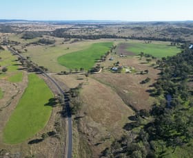 Rural / Farming commercial property for sale at 1198 Bukkulla Road Ashford NSW 2361