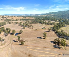 Rural / Farming commercial property for sale at 1215 Killingworth Road Killingworth VIC 3717
