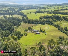 Rural / Farming commercial property for sale at 184 Barrabaroo Road Cobargo NSW 2550