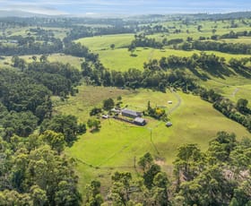 Rural / Farming commercial property for sale at 184 Barrabaroo Road Cobargo NSW 2550