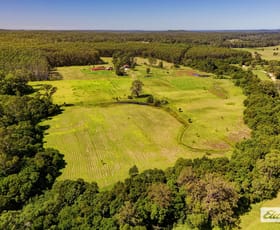 Rural / Farming commercial property for sale at 873 Cedar Party Road Cedar Party NSW 2429