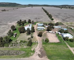 Rural / Farming commercial property for sale at 15309 Kamilaroi Highway Narrabri NSW 2390