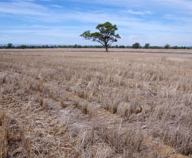 Rural / Farming commercial property for sale at 1200 Old Narrabri Road Narrabri NSW 2390