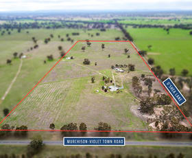 Rural / Farming commercial property for sale at 1192 Murchison-Violet Town Rd Arcadia South VIC 3631