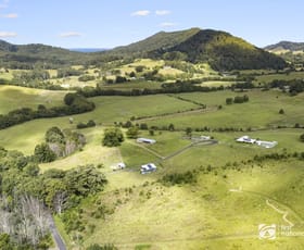 Rural / Farming commercial property for sale at 219 South Island Loop Road Upper Orara NSW 2450
