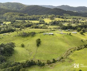 Rural / Farming commercial property for sale at 219 South Island Loop Road Upper Orara NSW 2450