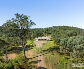 Rural / Farming commercial property for sale at 1508 Pierces Creek Road Pierces Creek QLD 4355