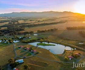 Rural / Farming commercial property for sale at 547 Old North Road Rothbury NSW 2320