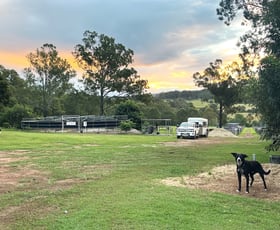 Rural / Farming commercial property for sale at 3238 Beaudesert Beenleigh Road Birnam QLD 4285