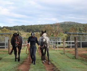 Rural / Farming commercial property for sale at 3238 Beaudesert Beenleigh Road Birnam QLD 4285