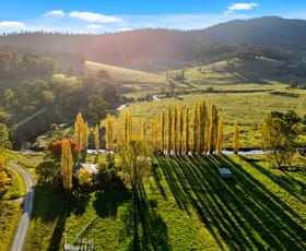 Rural / Farming commercial property for sale at 3306 Timbarra Road Buchan VIC 3885