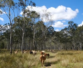 Rural / Farming commercial property for sale at Lot 27 Burnett Highway Cynthia QLD 4627