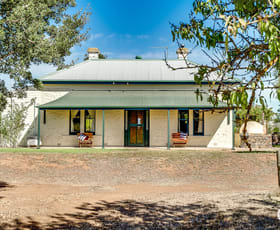 Rural / Farming commercial property for sale at 370 Clements Road Langhorne Creek SA 5255