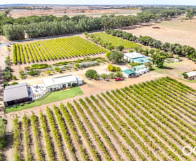 Rural / Farming commercial property for sale at 370 Clements Road Langhorne Creek SA 5255