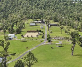 Rural / Farming commercial property for sale at 17 Kriedeman Road Upper Coomera QLD 4209