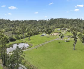 Rural / Farming commercial property for sale at 17 Kriedeman Road Upper Coomera QLD 4209