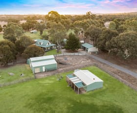 Rural / Farming commercial property for sale at 133 Springvale Road Lockwood South VIC 3551