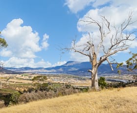 Rural / Farming commercial property for sale at 210 Briggs Road Honeywood TAS 7017