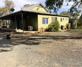 Rural / Farming commercial property for sale at 388 Tallimba Road West Wyalong NSW 2671