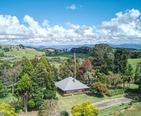 Rural / Farming commercial property sold at Dorrigo NSW 2453