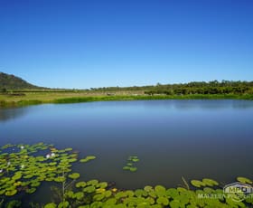 Rural / Farming commercial property for sale at 446 Chewko Road Mareeba QLD 4880