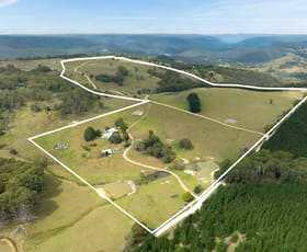 Rural / Farming commercial property for sale at 251 Sheepstation Forest Road Gingkin NSW 2787