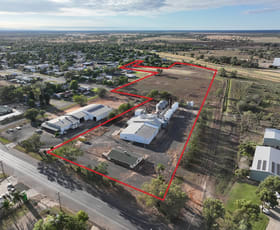 Rural / Farming commercial property for sale at 48-50 Boolcarrol Road Wee Waa NSW 2388