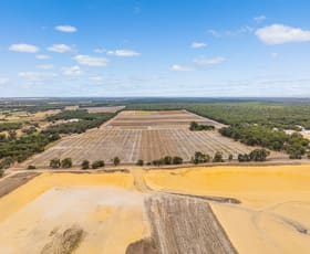 Rural / Farming commercial property for sale at 186 & 229 Runnymede Road Binningup WA 6233