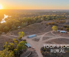 Rural / Farming commercial property for sale at 365 Murraylands Road Morgan SA 5320
