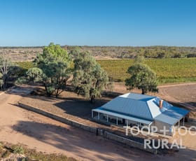 Rural / Farming commercial property for sale at 365 Murraylands Road Morgan SA 5320