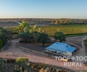 Rural / Farming commercial property for sale at 365 Murraylands Road Morgan SA 5320