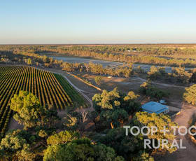 Rural / Farming commercial property for sale at 365 Murraylands Road Morgan SA 5320