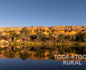 Rural / Farming commercial property for sale at 365 Murraylands Road Morgan SA 5320
