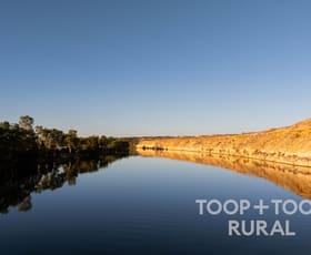 Rural / Farming commercial property for sale at Wilcox Estate/365 Murraylands Road Morgan SA 5320