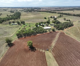 Rural / Farming commercial property for sale at 'Cumalong' 37L Mogriguy Road Dubbo NSW 2830