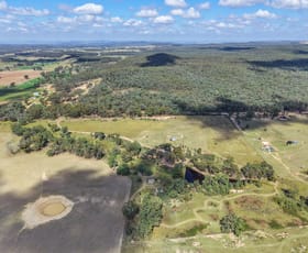Rural / Farming commercial property for sale at 364 Corishs Lane Gulgong NSW 2852