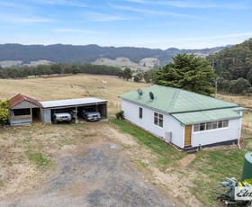 Rural / Farming commercial property for sale at 144 Dennis Road Gunns Plains TAS 7315